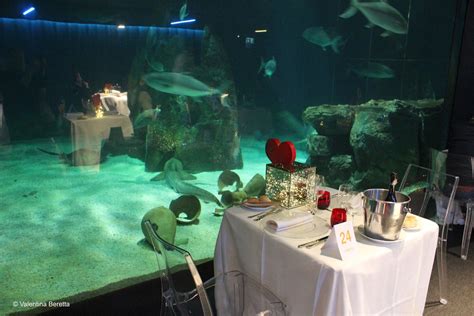 cena san valentino genova economico